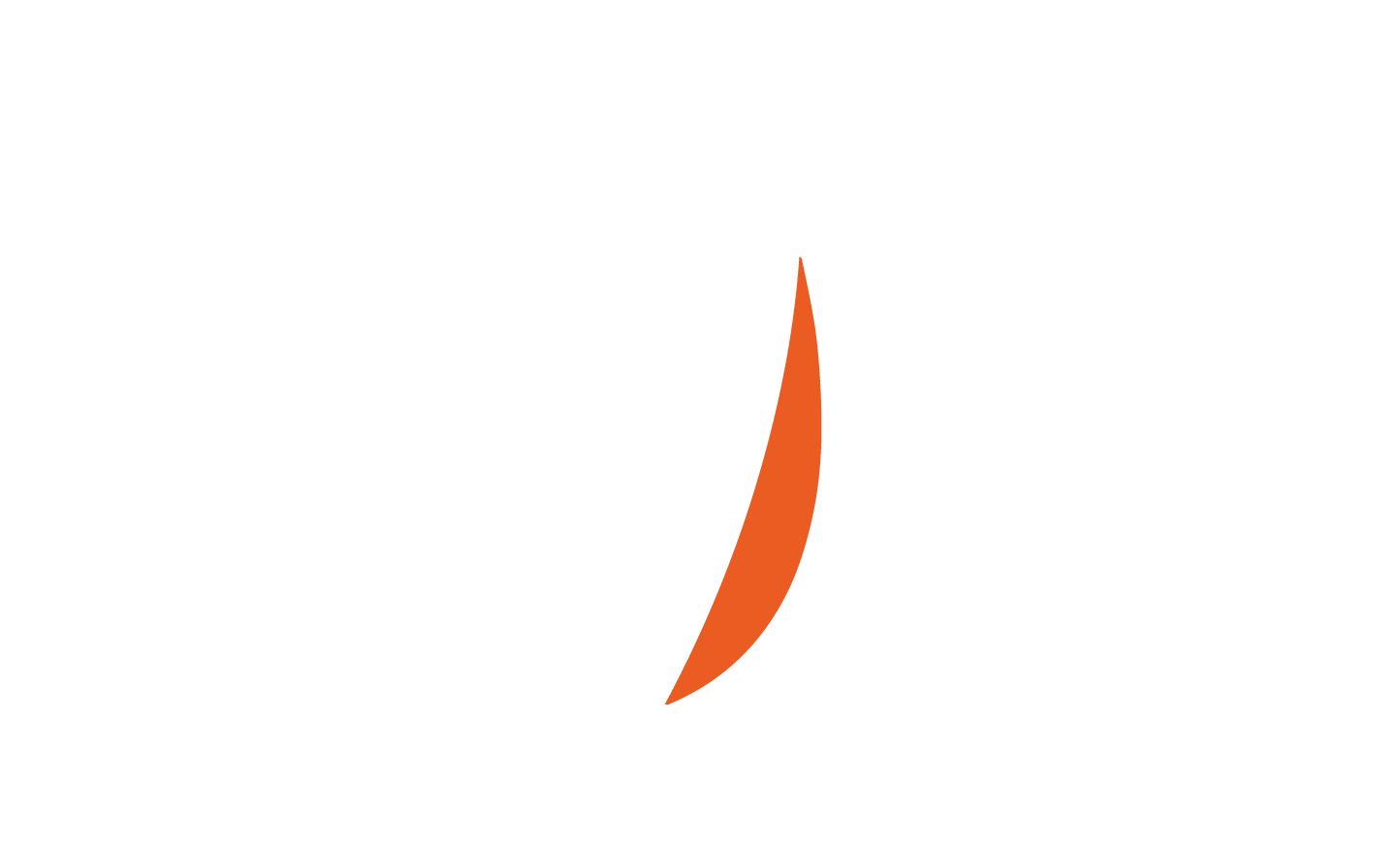 Logo blanc • Major Boats Golfe de Saint-Tropez